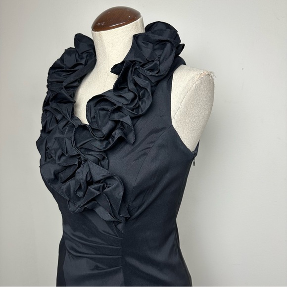 Xscape Ruffle Neck Dress - Picture 10 of 12